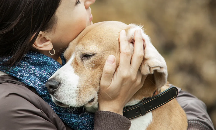 chien dans les bras de sa maitresse qui lui fait un câlin