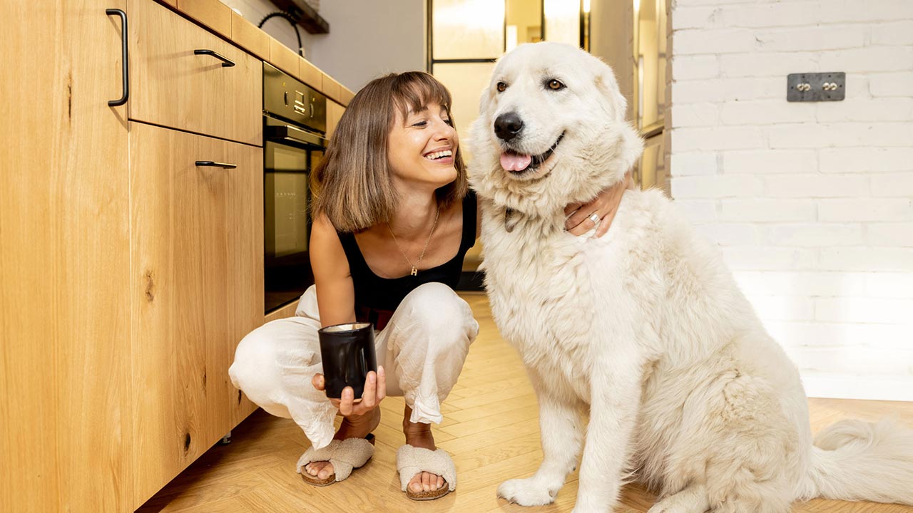 Décrypter le comportement de son chat, chien, lapin