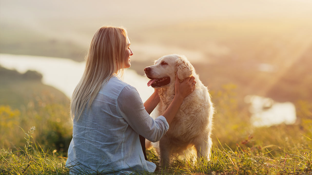 Vie quotidienne avec mon chat, chien ou lapin