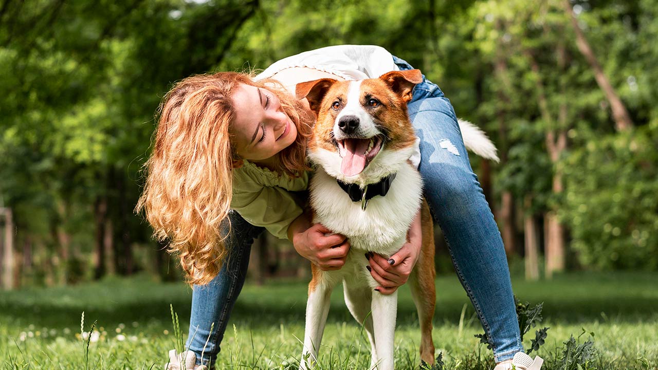 Les jeux avec votre chat, chien ou lapin